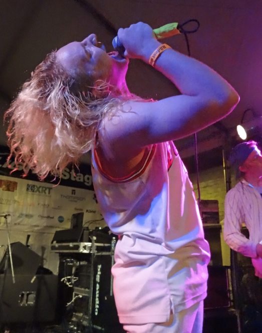 The Orwells at Ribfest Chicago 2015